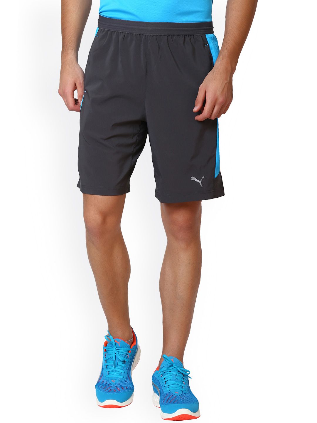 puma shorts price