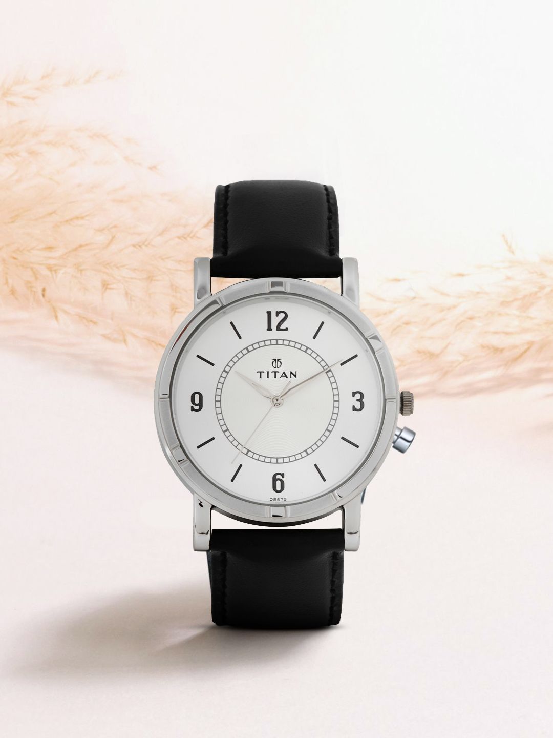 Titan Men Silver-Toned Dial Watch 1639SL03-picture-54