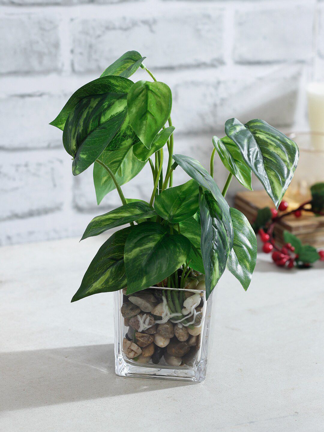 TAYHAA Green Artificial Aglaonema Plant With Transparent Pot-picture-26
