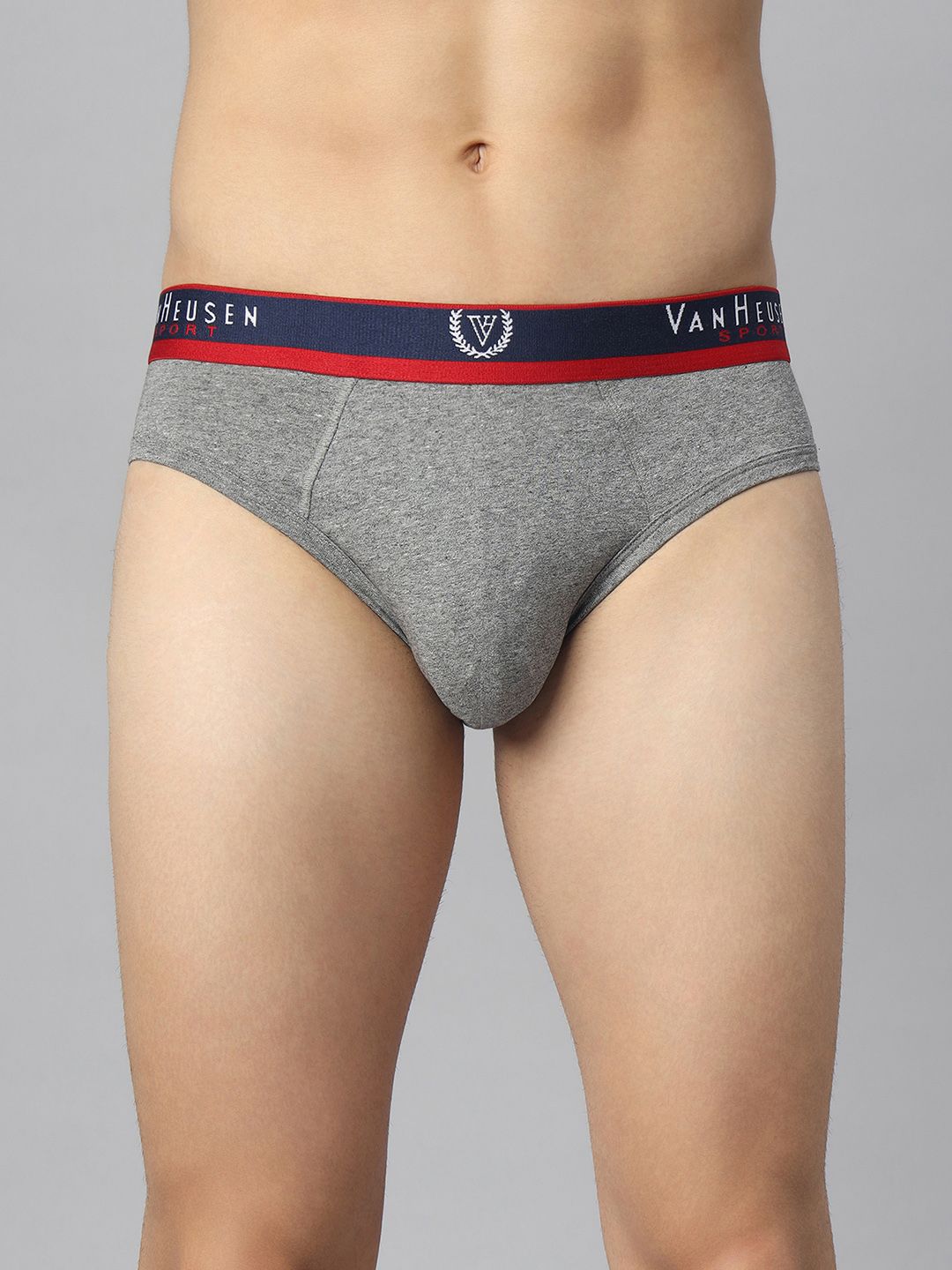 van heusen innerwear Van Heusen Men Solid Jaspe Textured No Marks Briefs 70009-picture-31
