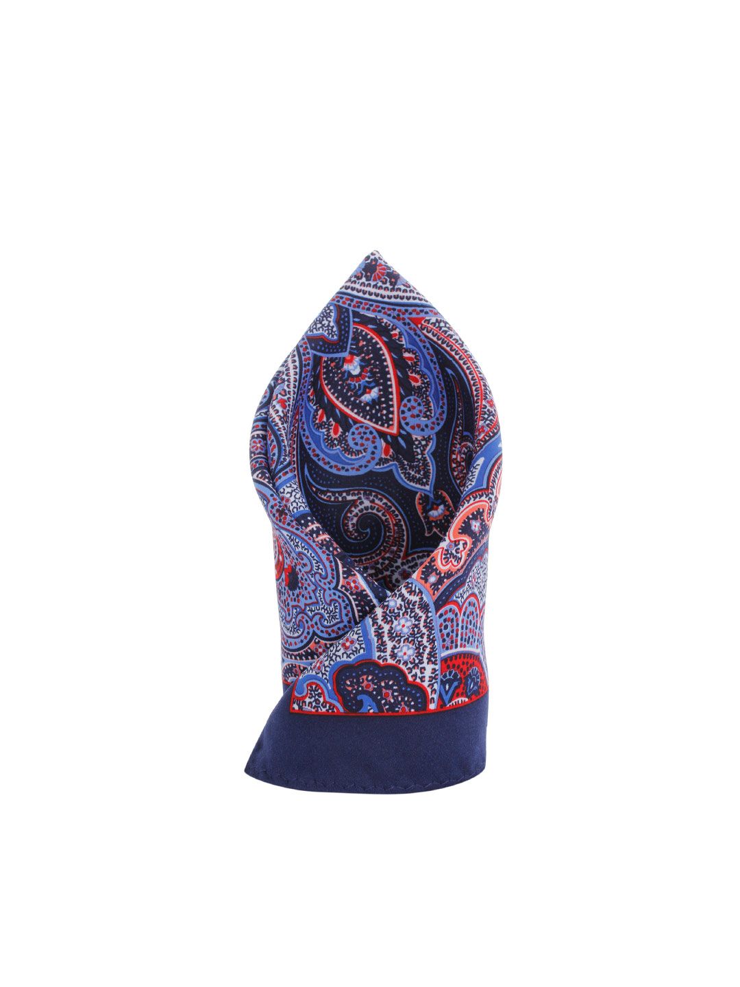 Alvaro Castagnino Blue & Red Floral Print Pocket Square-picture-32