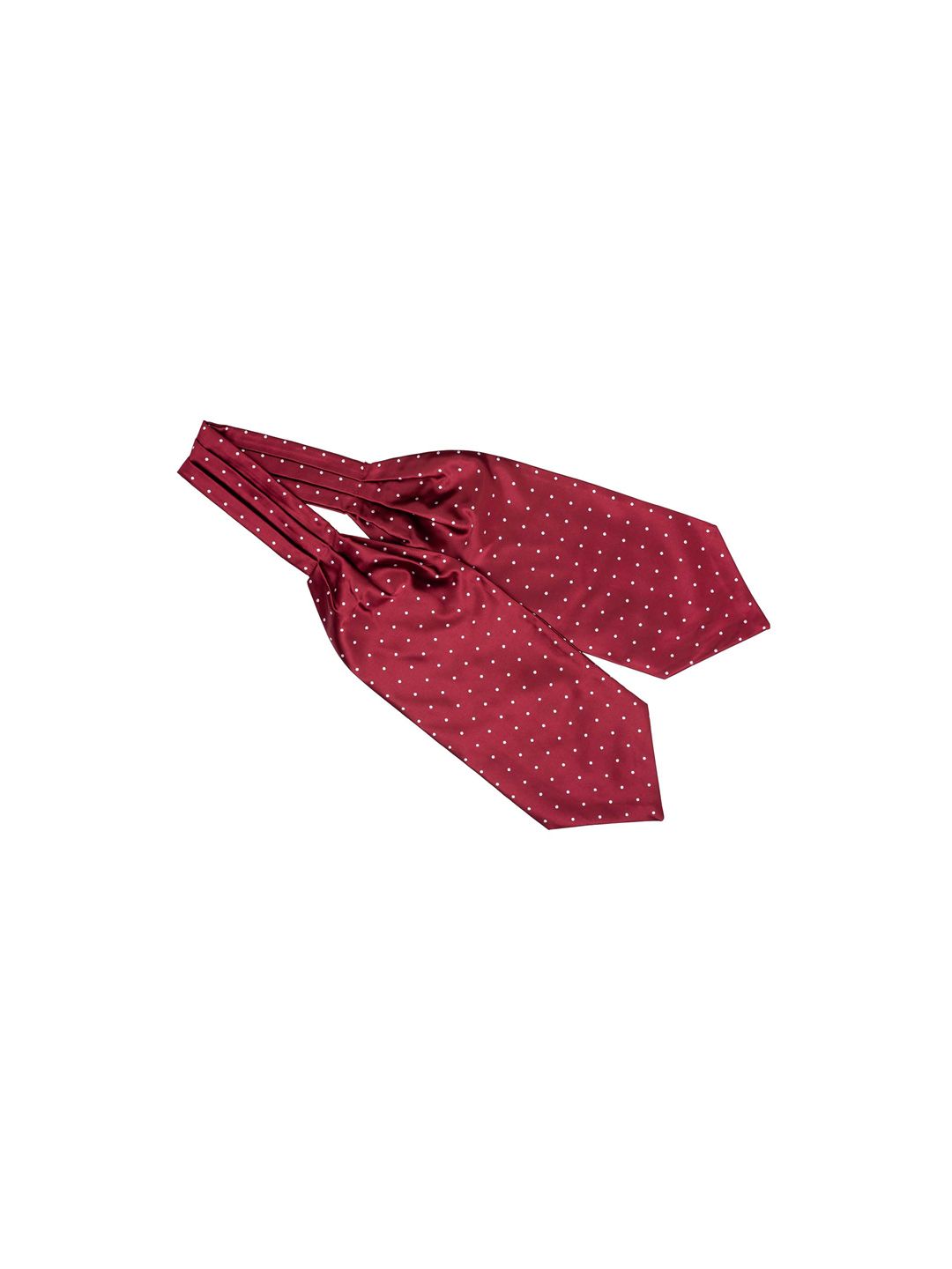 The Tie Hub Men Red & White Polka Dots Printed Cravat-picture-11