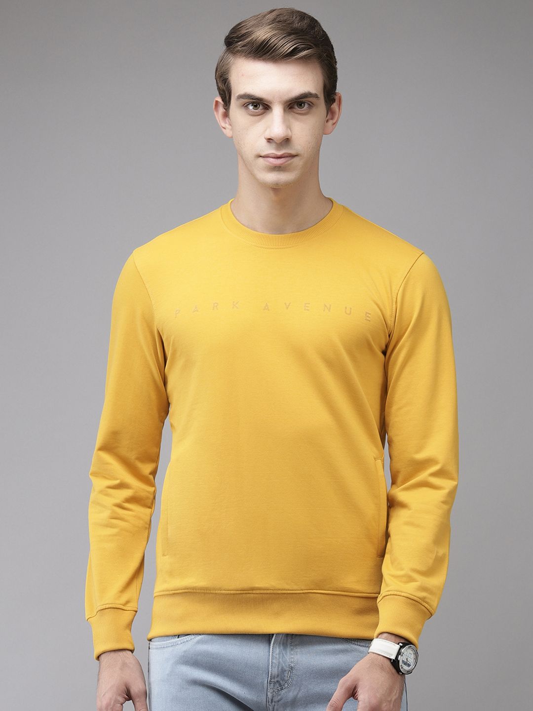 Park Avenue Men Yellow Brand Logo Printed Sweatshirt-picture-30