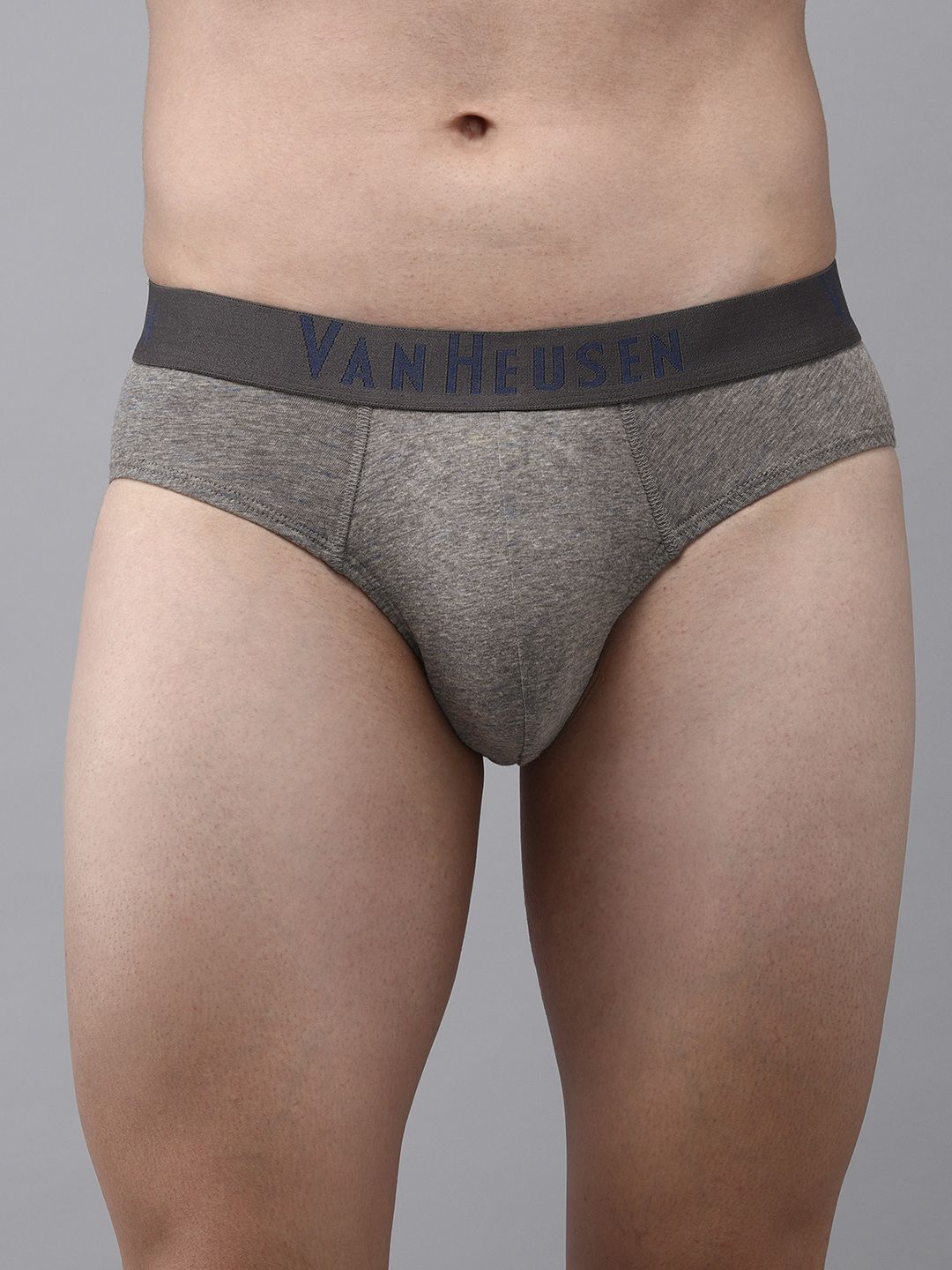 van heusen innerwear Van Heusen Men Grey Soft Touch Superior Comfort Briefs 8905325596639-picture-36