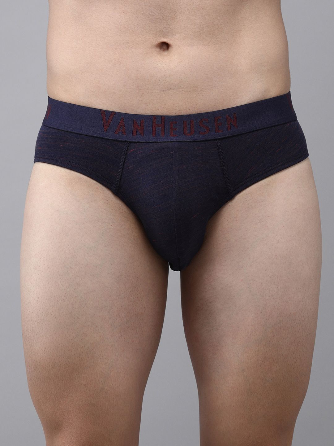 van heusen innerwear Van Heusen Men Navy Textured Soft Touch Superior Comfort Briefs 8905325596745-picture-21