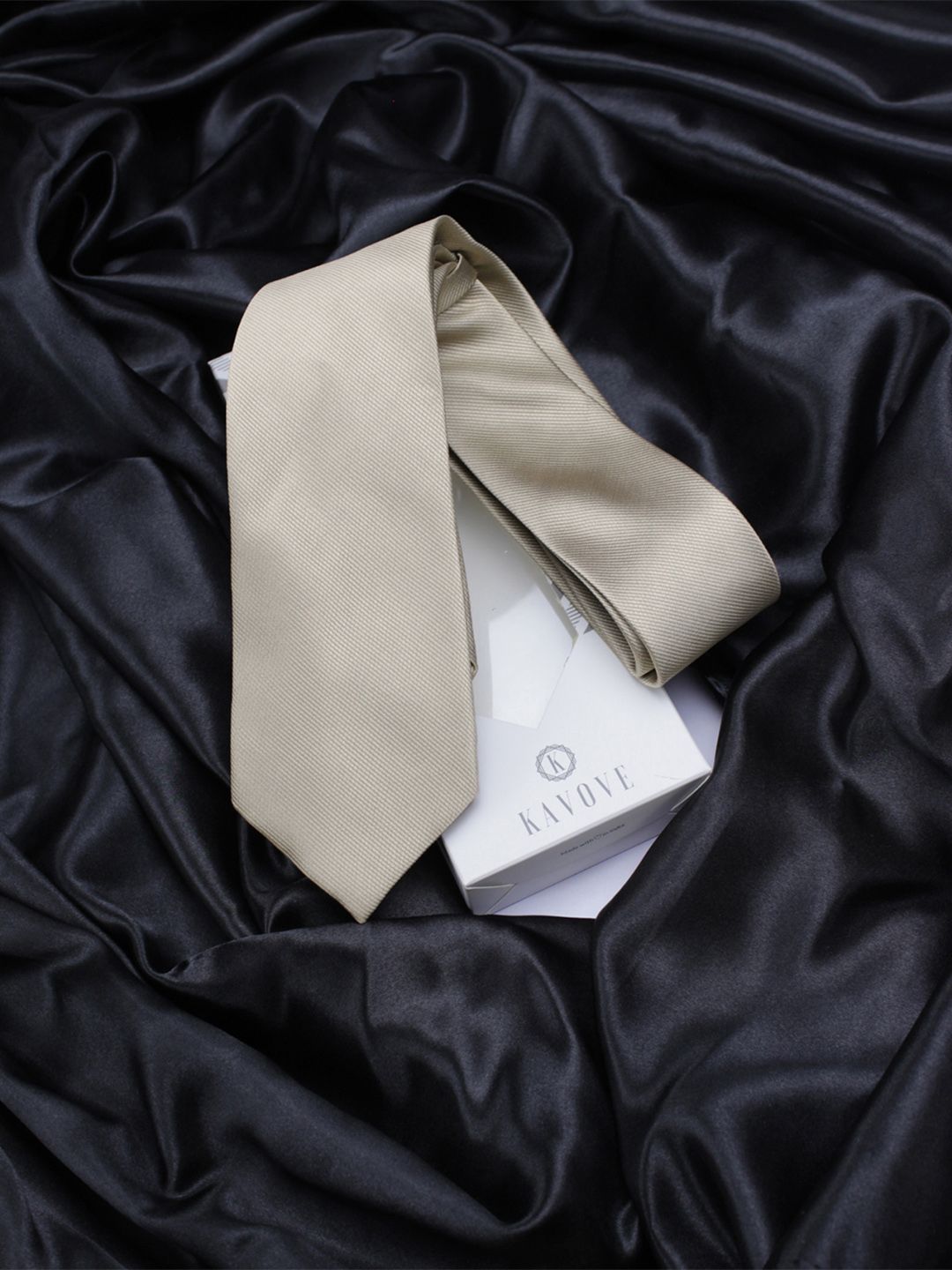 kavove KOVOVE Men Grey Solid Broad Tie-picture-12