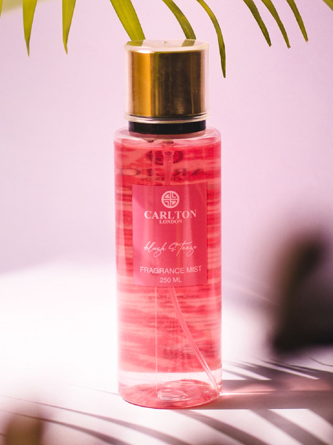 Carlton London Blush & Tease Fragrance Body Mist 250 ml-image-42