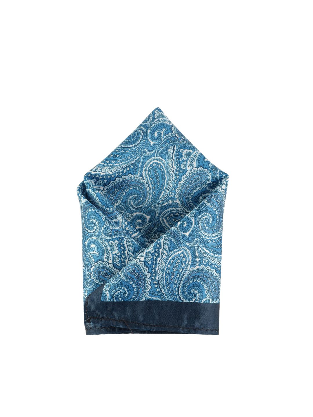 Alvaro Castagnino Men Blue Printed Pocket Square-picture-36