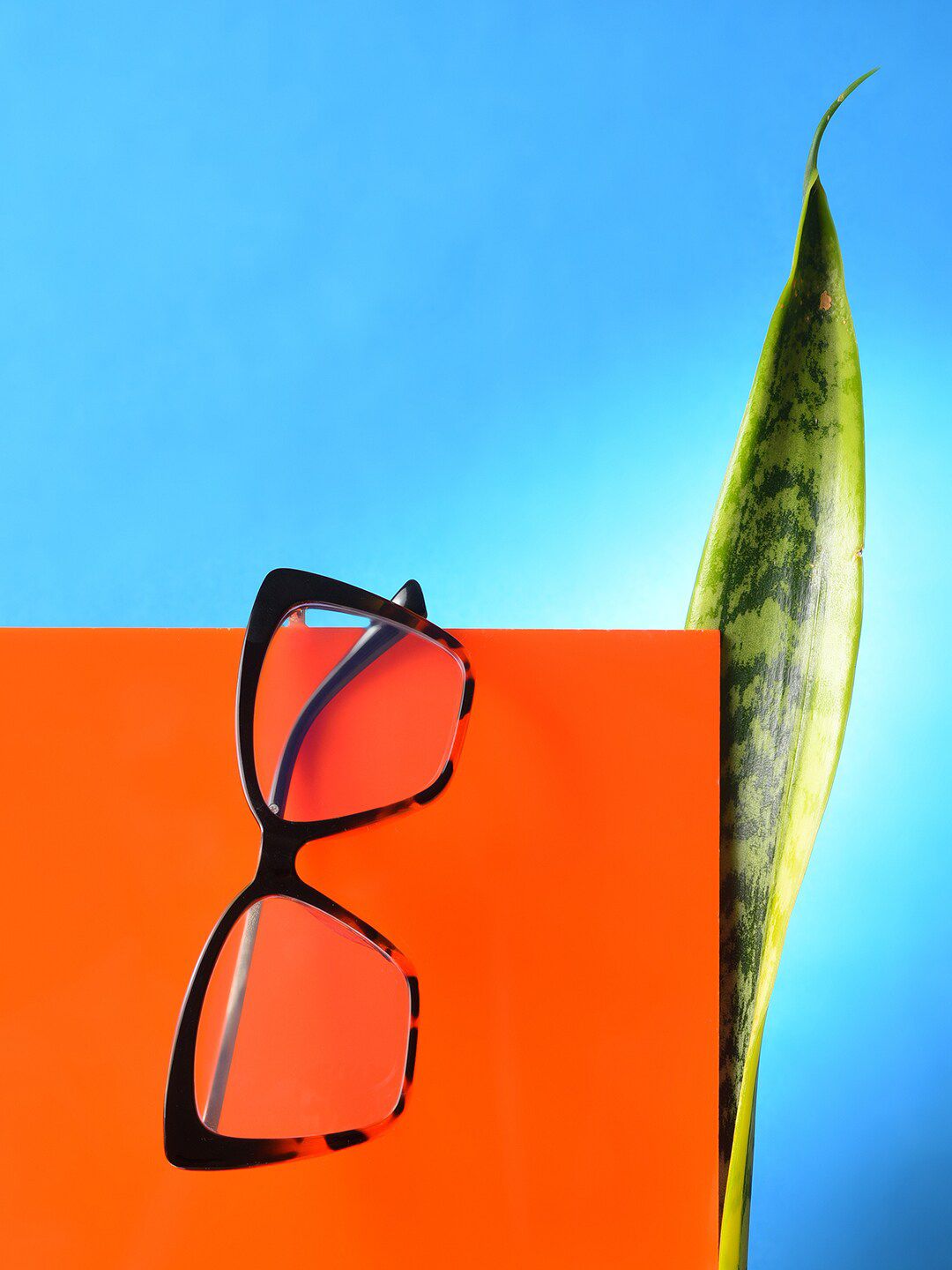 HAUTE SAUCE by Campus Sutra Women Clear Lens & Brown Butterfly Sunglasses with Polarised Lens-image-33