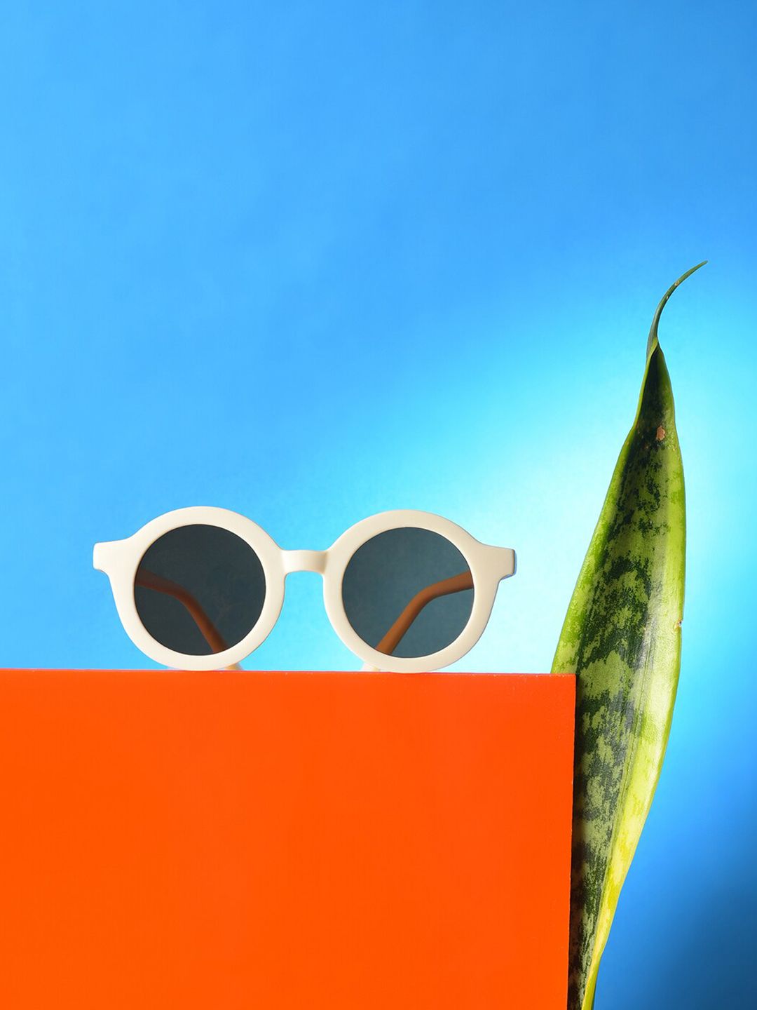 HAUTE SAUCE by Campus Sutra Women Brown Lens & White Oval Sunglasses with UV Protected Lens-image-32