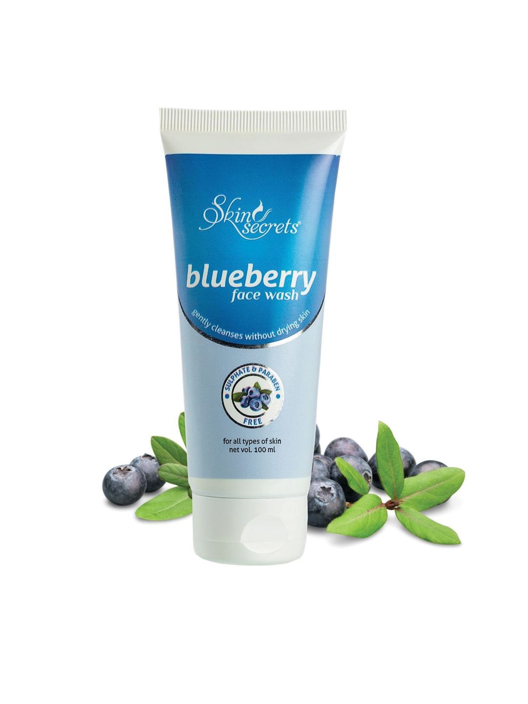 Skin Secrets Blueberry Face Wash-picture-32