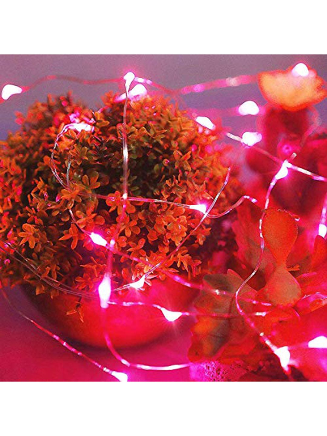 XERGY Set of 8 Multicoloured Battery Operated Led String Light-image-33