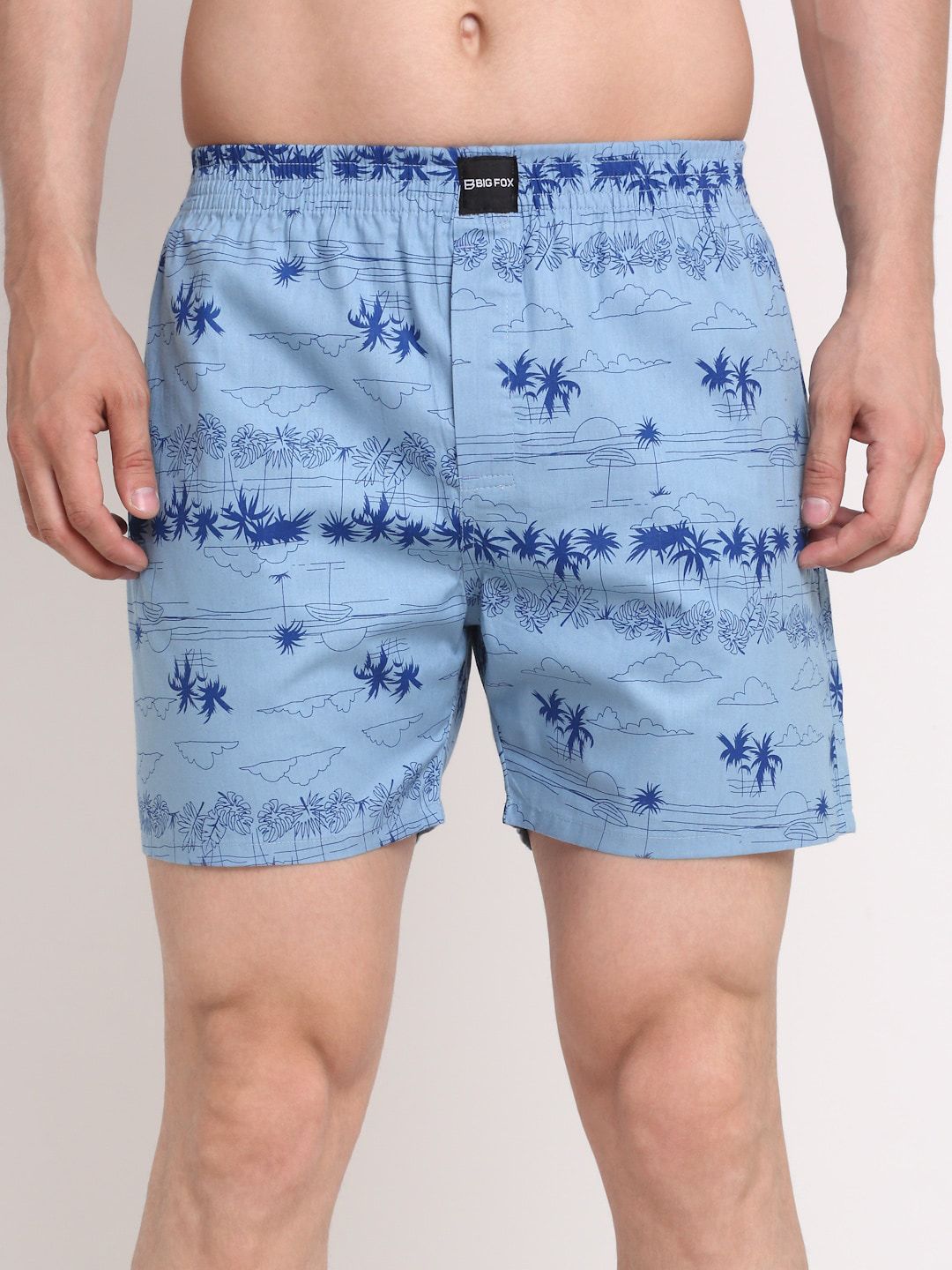 Big Fox Men Blue Printed Pure Cotton Boxers-picture-24