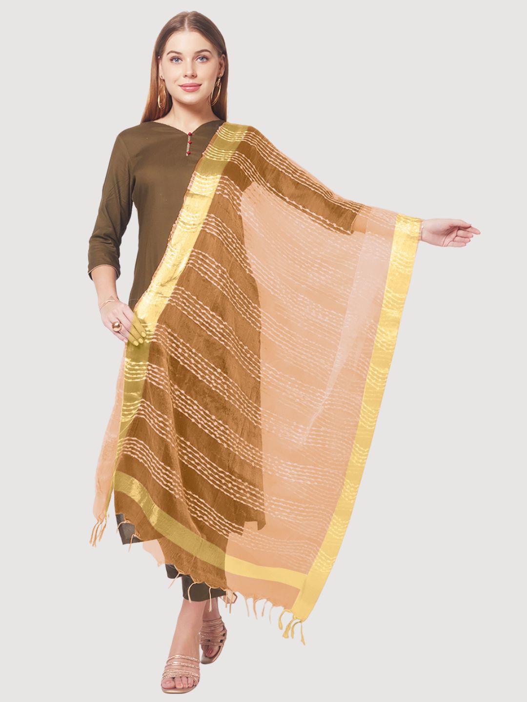 Dupatta Bazaar Beige & Gold-Toned Woven Design Organza Dupatta-picture-35