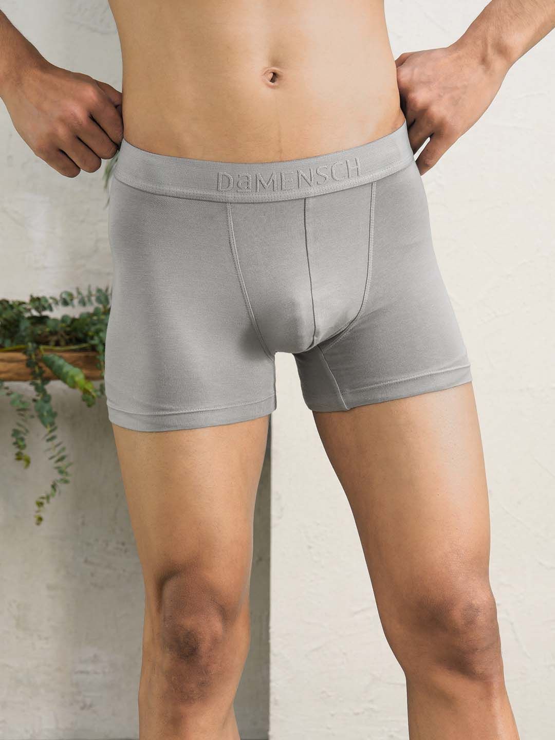 DAMENSCH Men Grey Solid Anti-Bacterial Trunk-picture-25