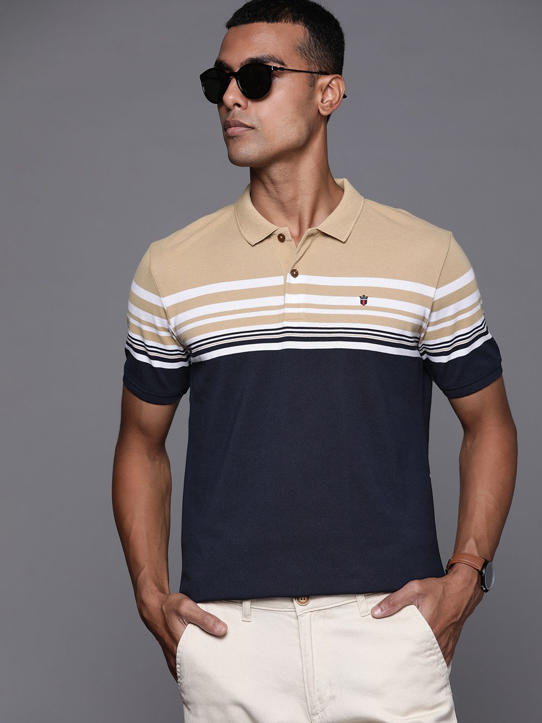 Louis Philippe Sport Men Beige & Navy Blue Striped Polo Collar T-shirt-picture-29