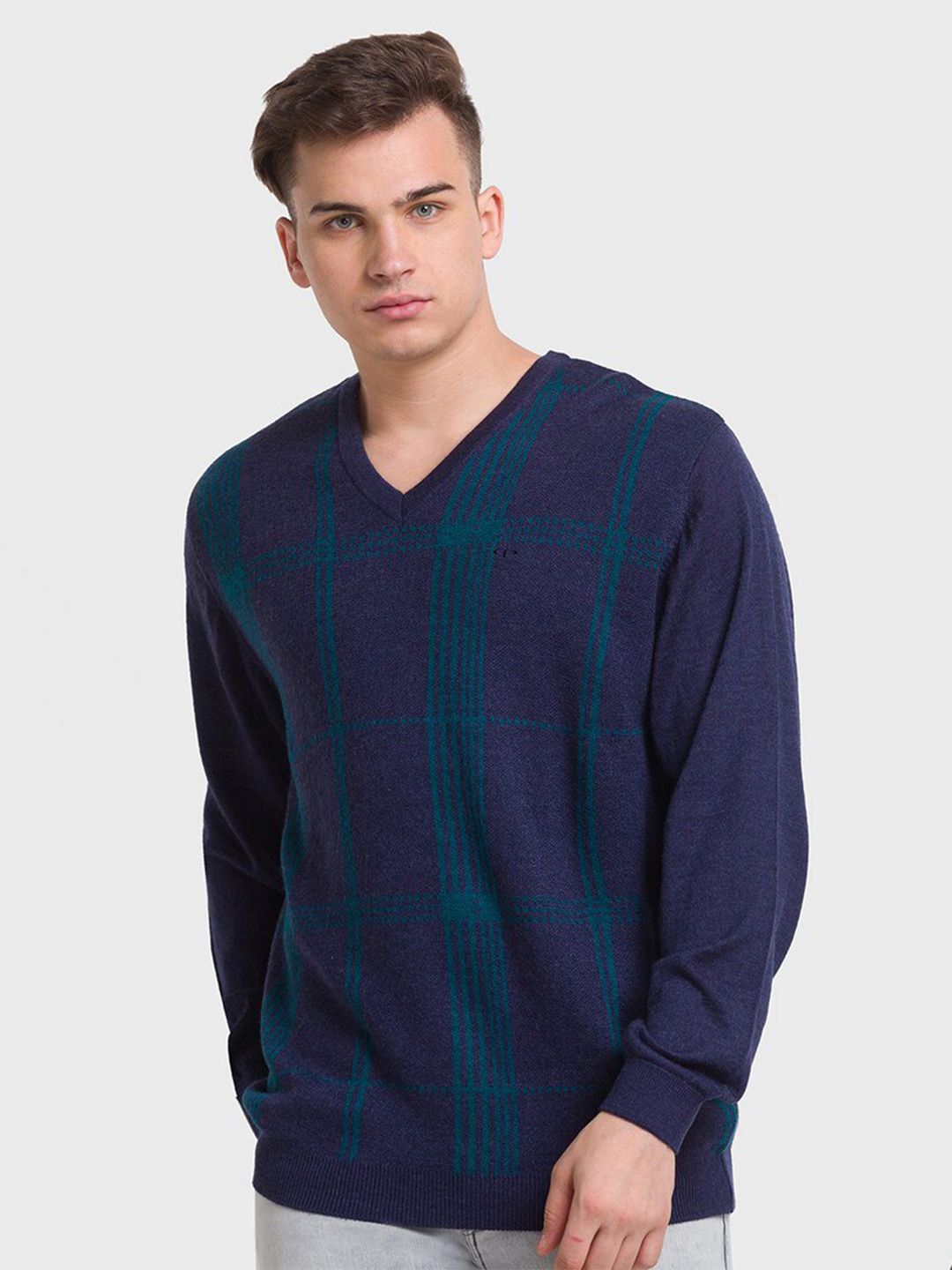 ColorPlus Men Navy Blue Checked Pullover-picture-29