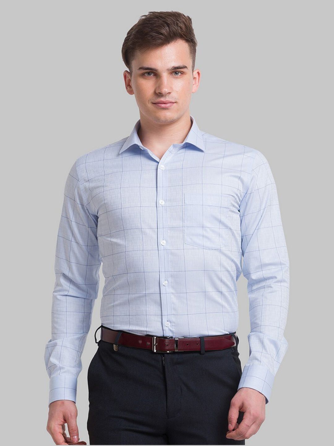 Park Avenue Men Blue Slim Fit Windowpane Checks Checked Organic Cotton Formal Shirt-picture-21