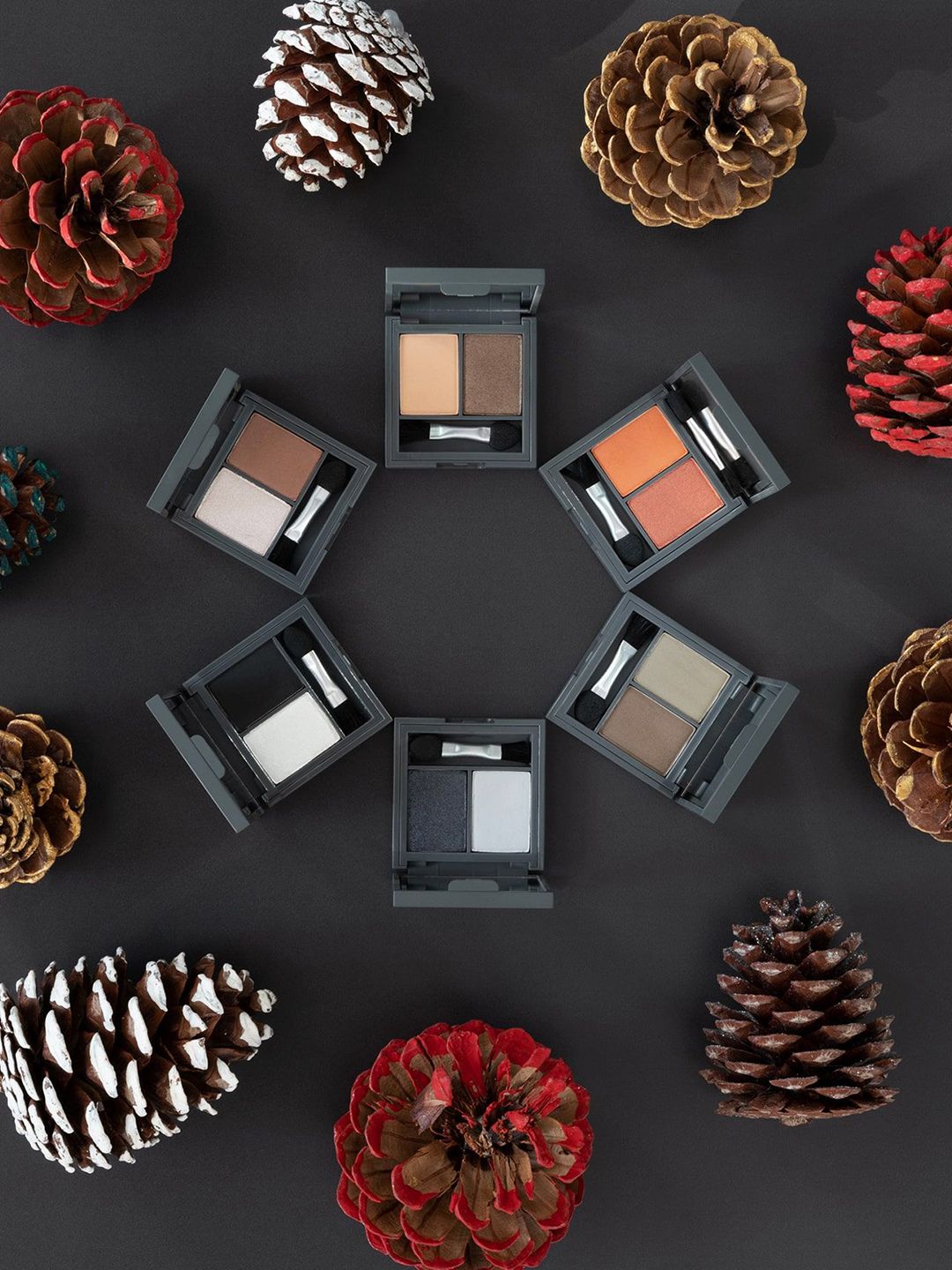 ALIX AVIEN PARIS Duo Eyeshadow - 201-Pearly White & Black Velvet - 3.2 g-image-3