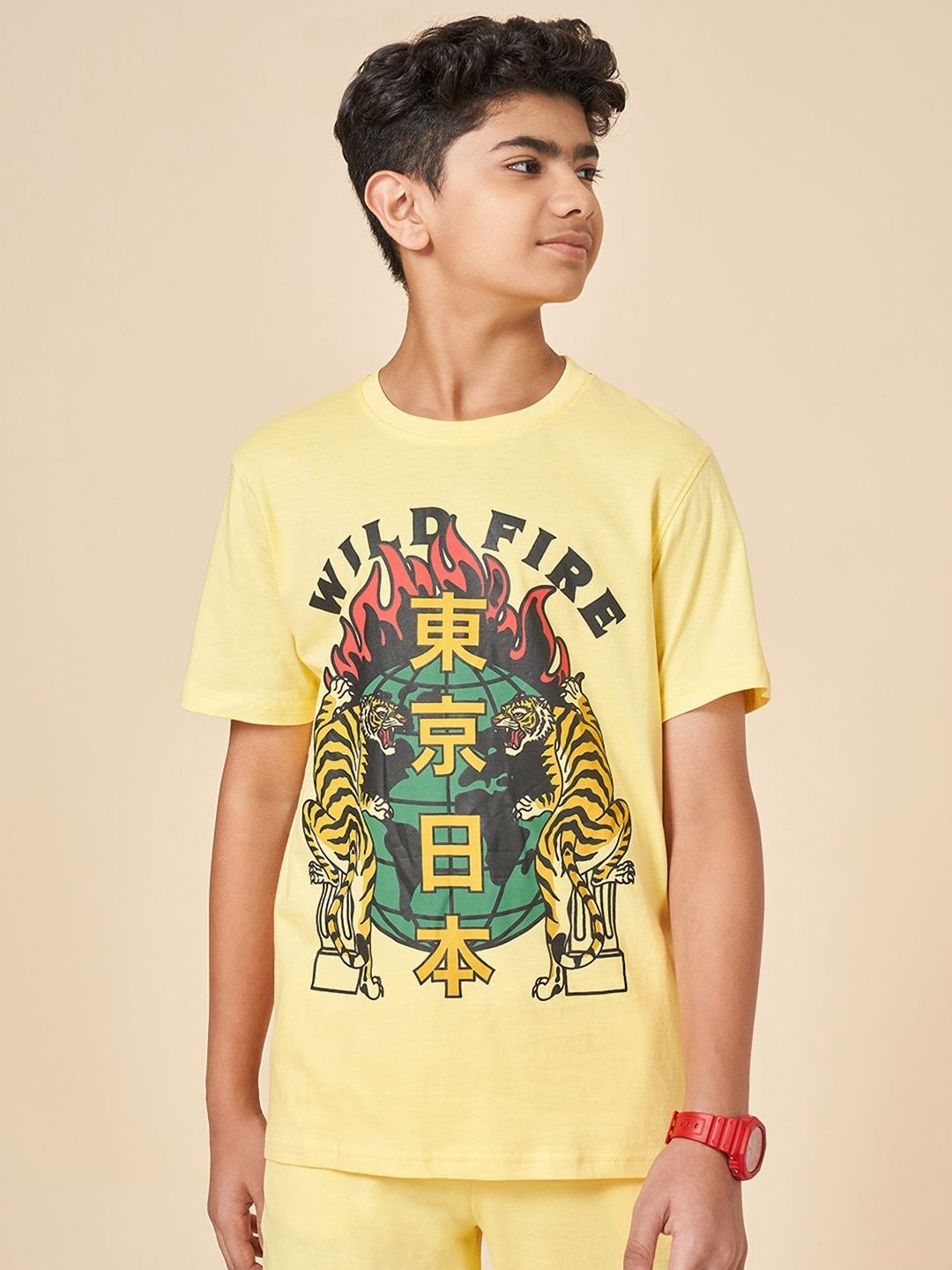 Coolsters by Pantaloons Boys Printed Extended Sleeves Applique T-shirt-picture-33