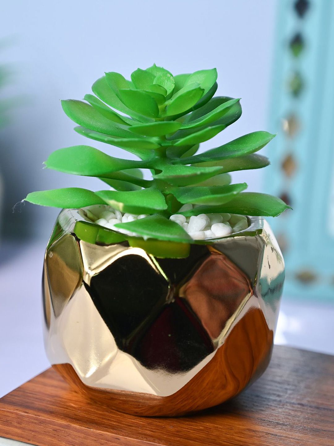 MARKET99 Gold-Toned & Green Succulent Artificial Plant With Pot-picture-21