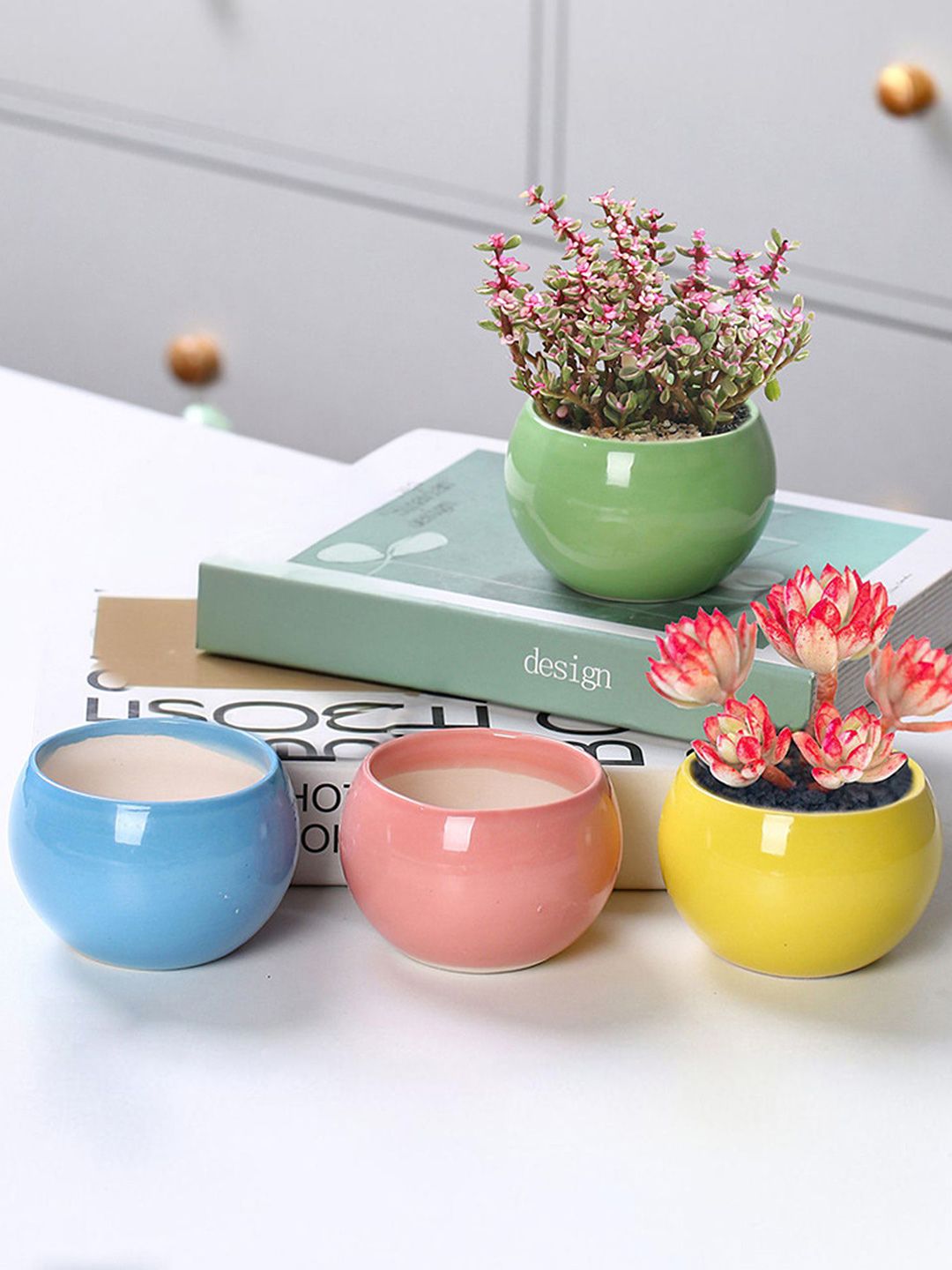 Ekhasa Blue & Pink 4 Pieces Ceramic Planter Pots-picture-14