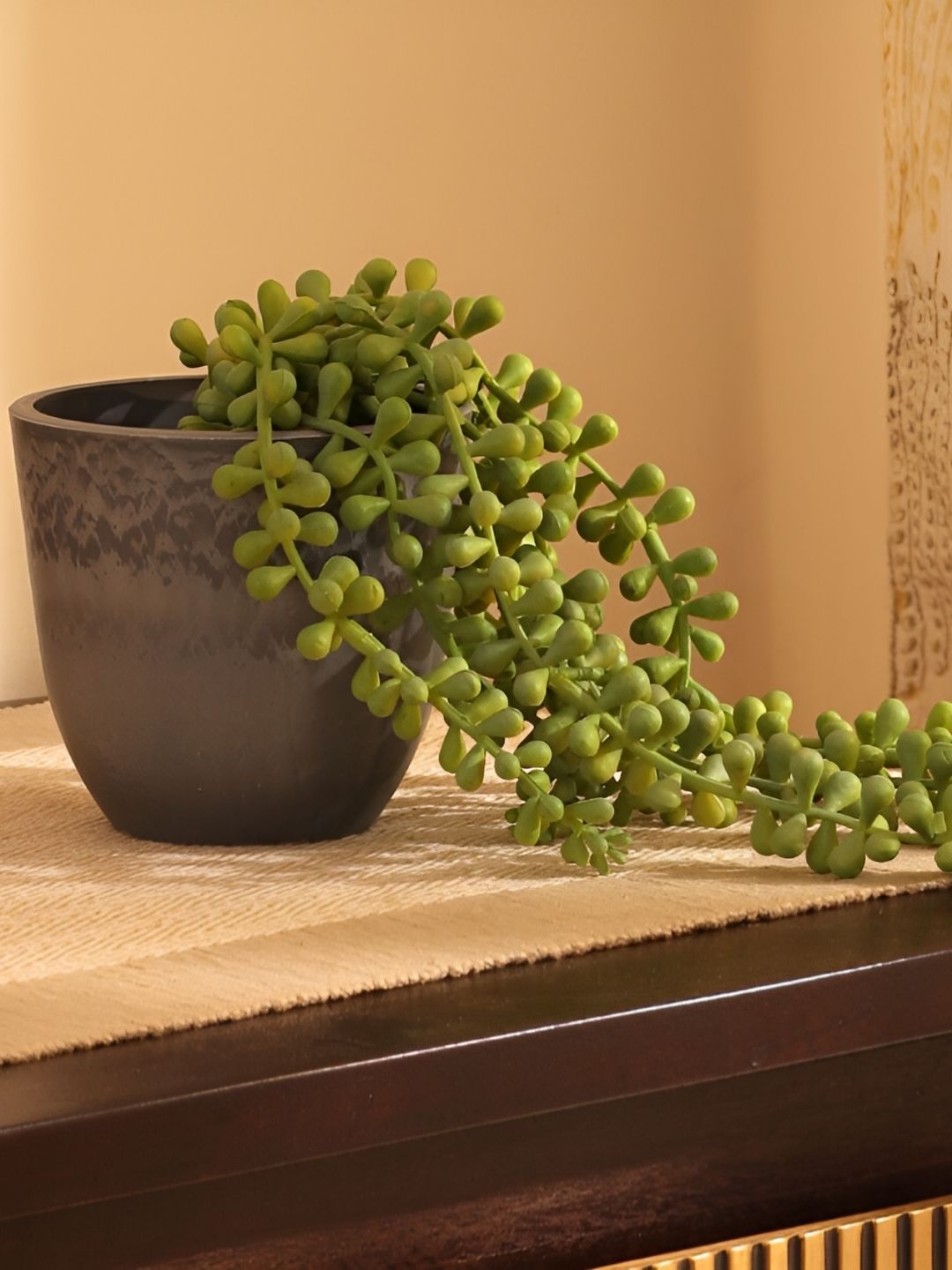 Elemntl Green & Grey Succulent Vine Artificial Plant With Pot