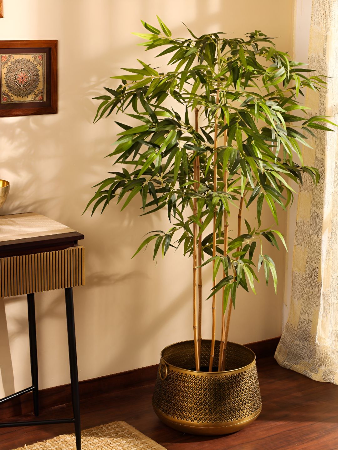 Elemntl Green 1 Pieces Bamboo With Pot-picture-11