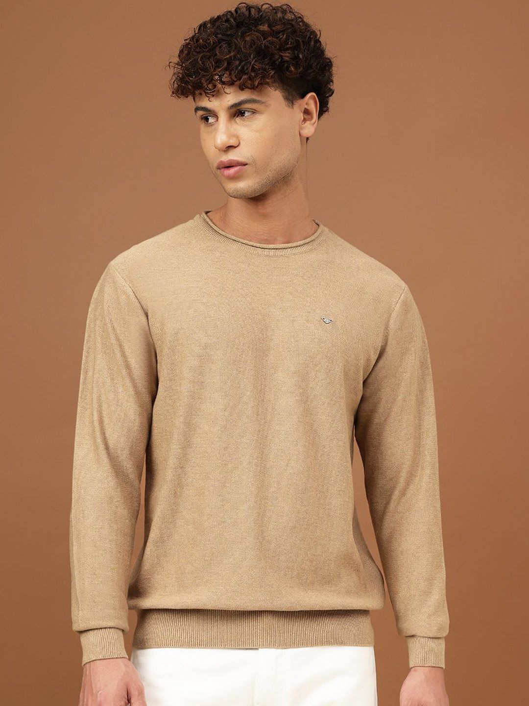 Richlook Men Long Sleeves Round Neck Regular Sweatshirt-picture-36