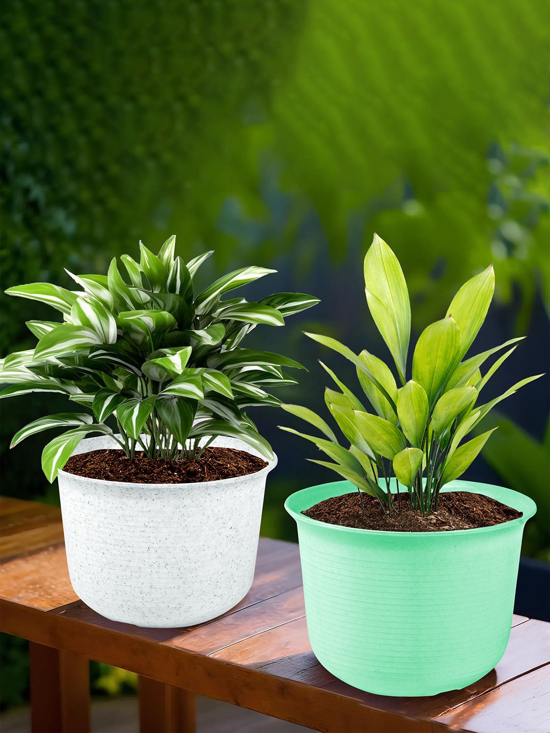 Kuber Industries Green & White 2 Pieces Textured Planters With Plate-picture-19