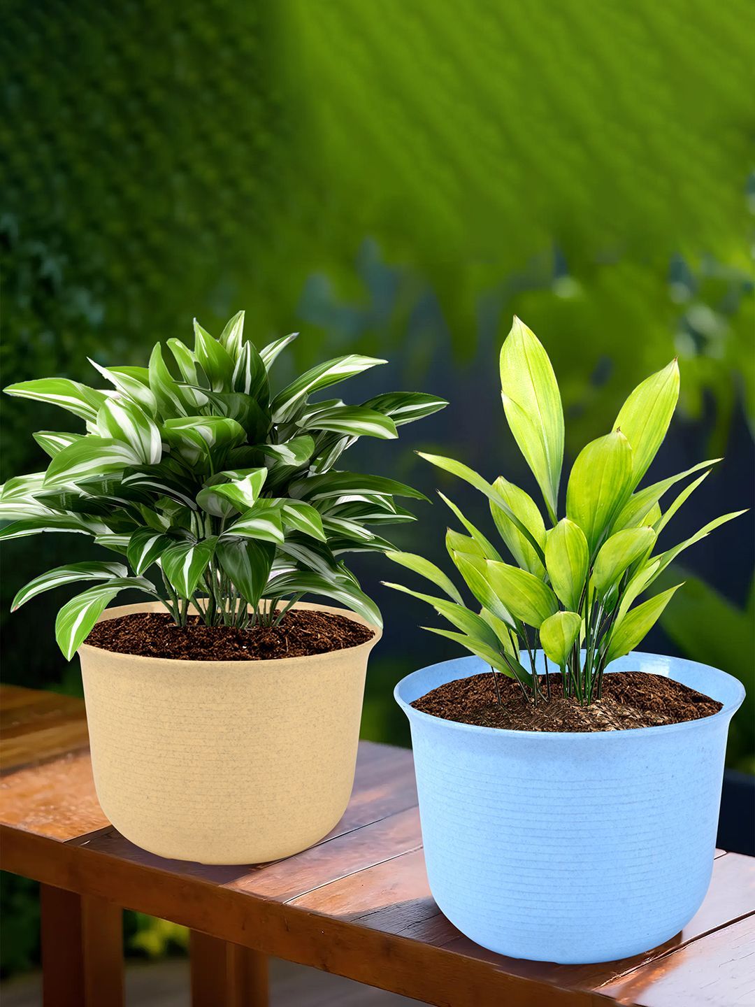 Kuber Industries 2Pcs Beige & Blue Textured Planters With Plate-picture-31