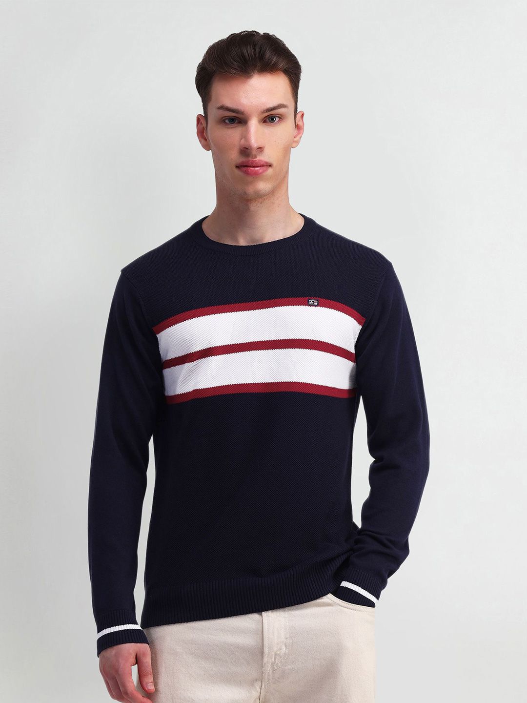 Arrow Sport Men Striped Long Sleeves Round Neck Pullover Sweaters-picture-19