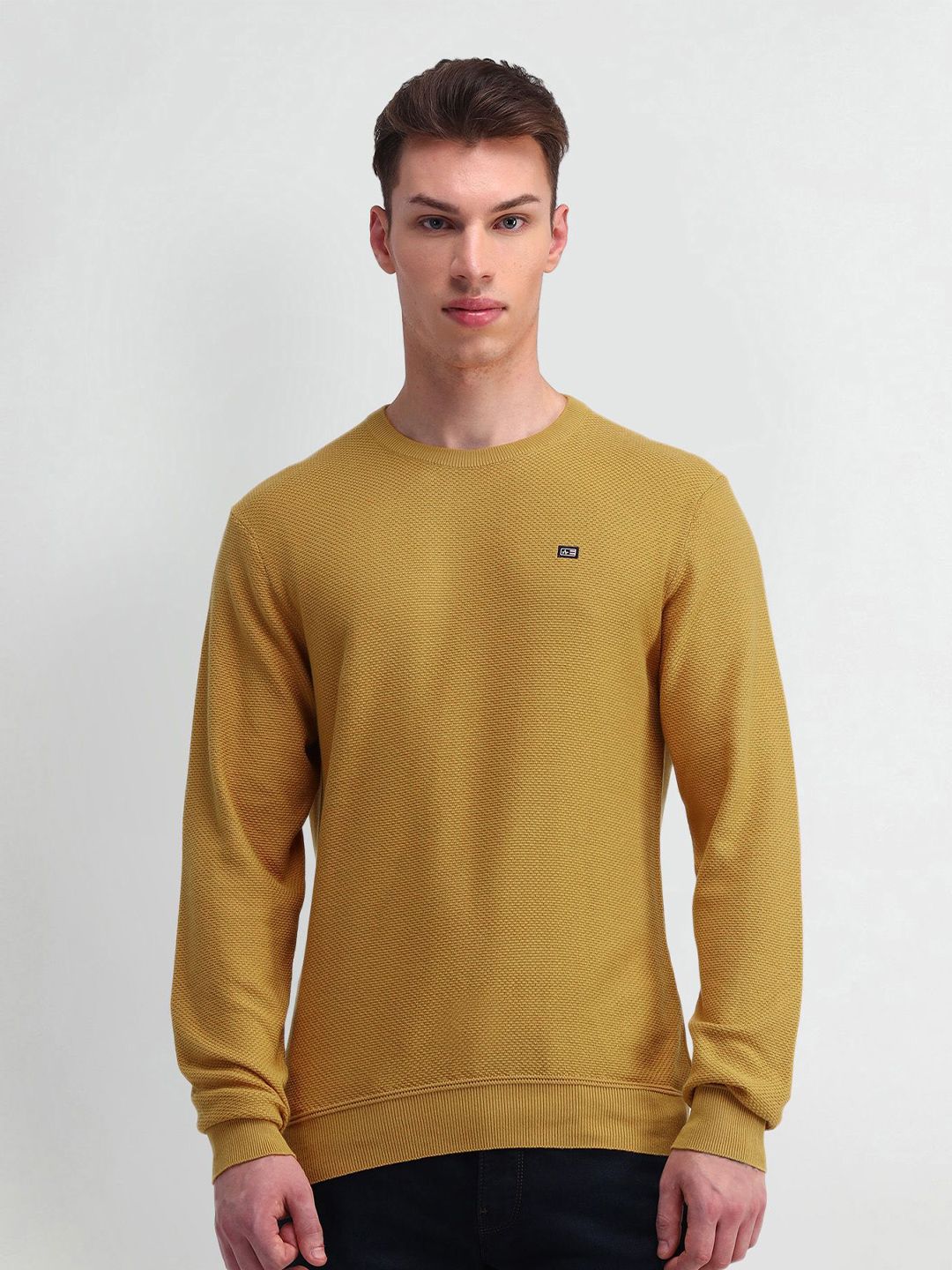 Arrow Sport Men Self Design Long Sleeves Round Neck Pullover Sweaters-picture-20