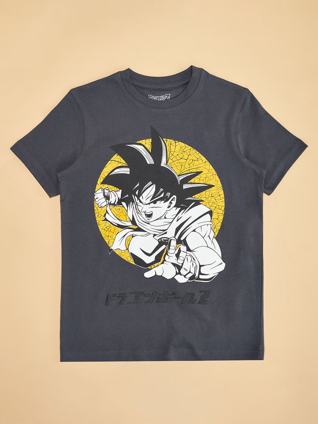 Pantaloons Junior Boys Graphic Printed Round Neck Cotton T-shirt-picture-29