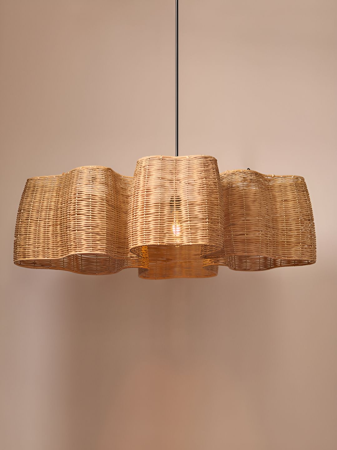 HABERE INDIA Brown & Black Textured Cane Contemporary Abstract Shaped Ceiling Lamp-image-22