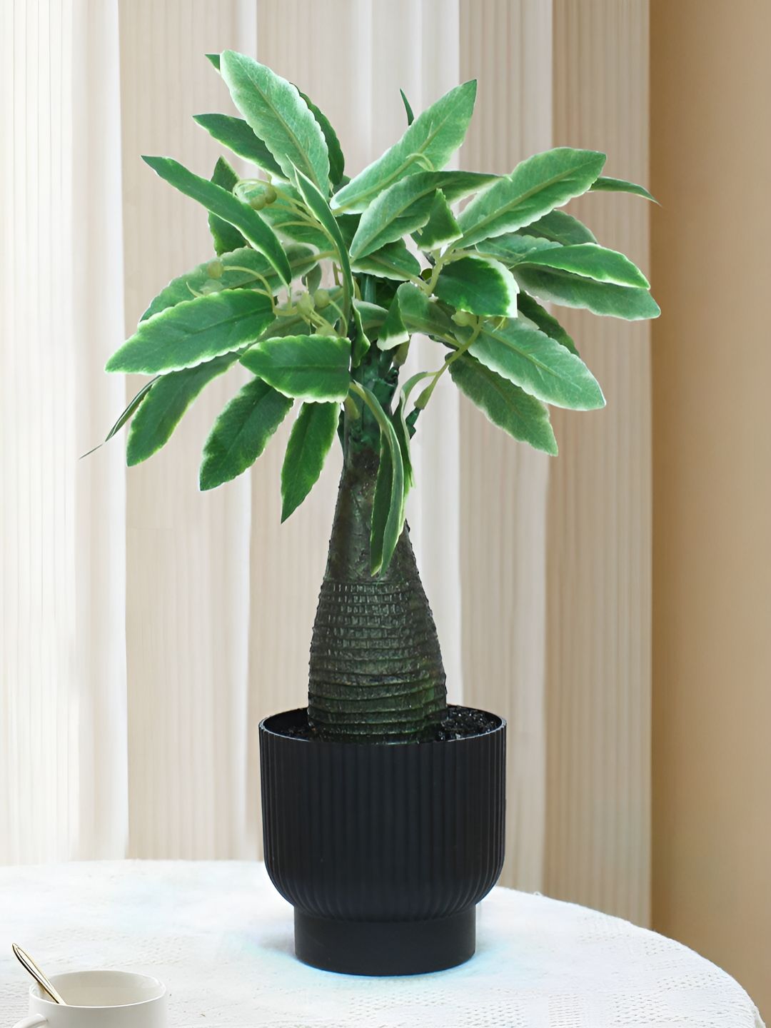 TIED RIBBONS Green 1 Pieces Artificial Plant With Pot-image-19