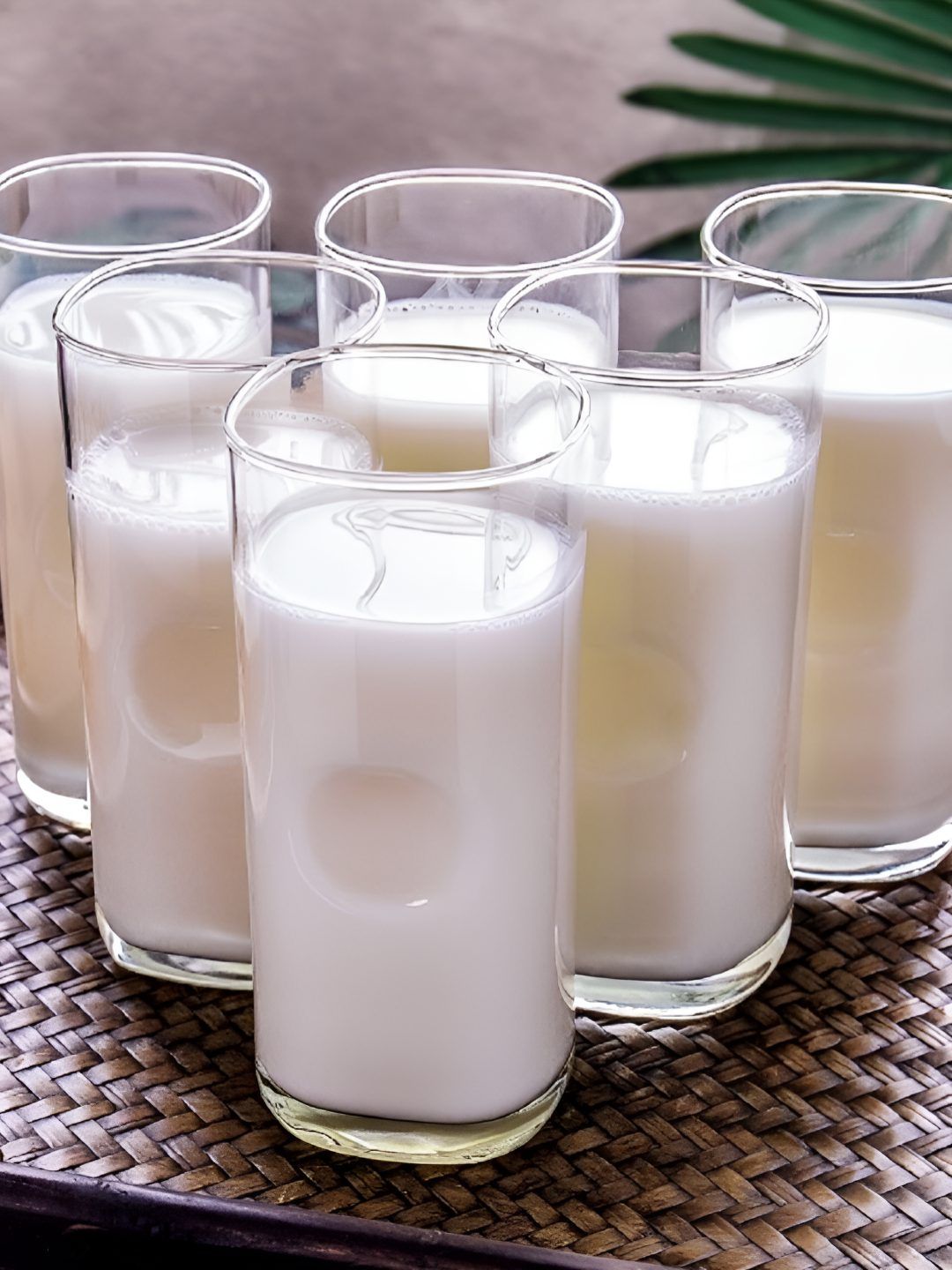 FINSTER 6 Pieces Transparent Water & Milk Glass 300ml-picture-49