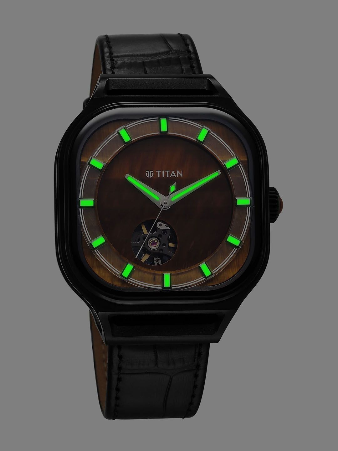Titan Men Dial & Leather Bracelet Style Straps Analogue Automatic Watch 10008NL02-image-28