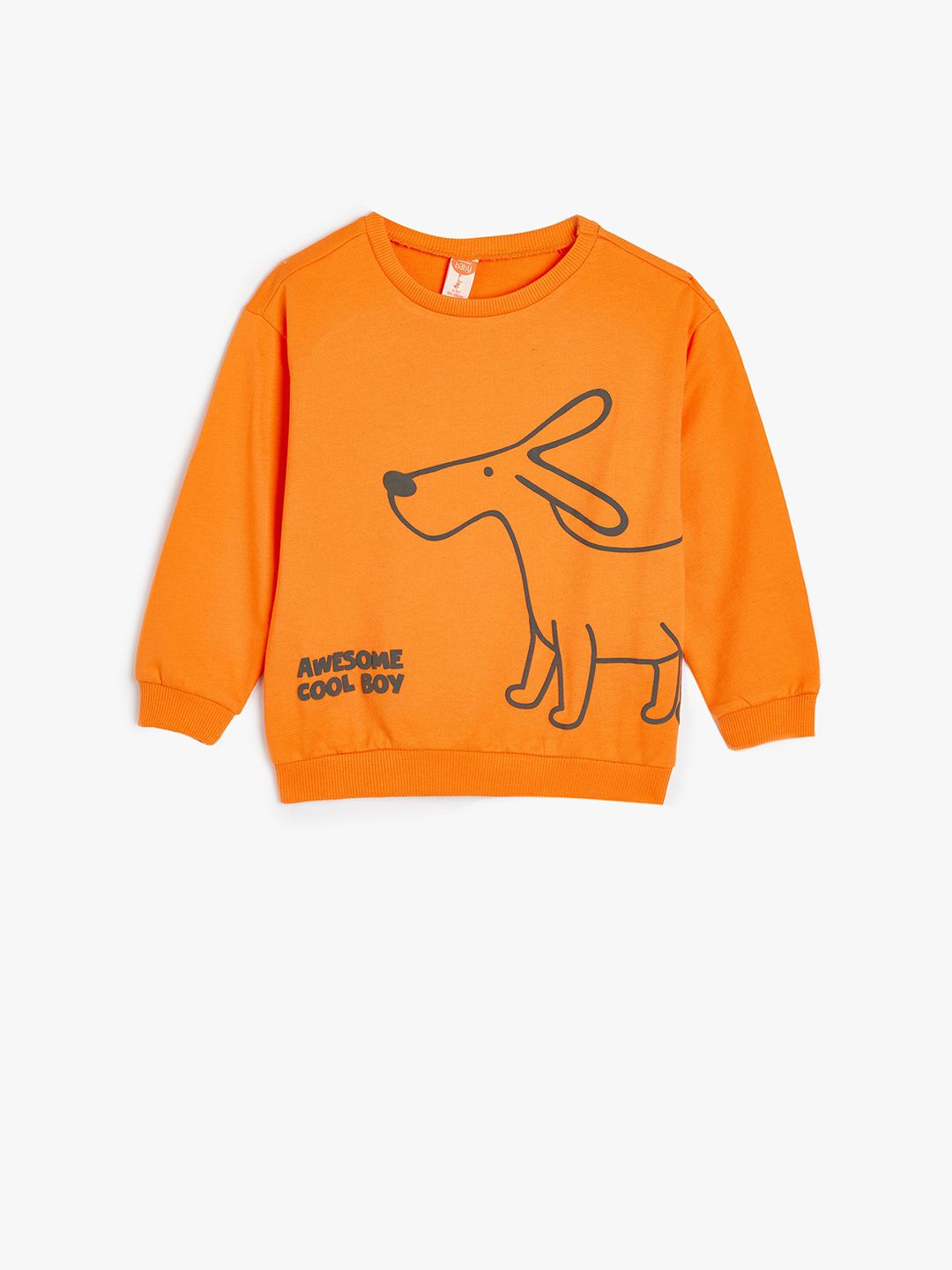 Koton Boys Printed Sweatshirt-picture-47