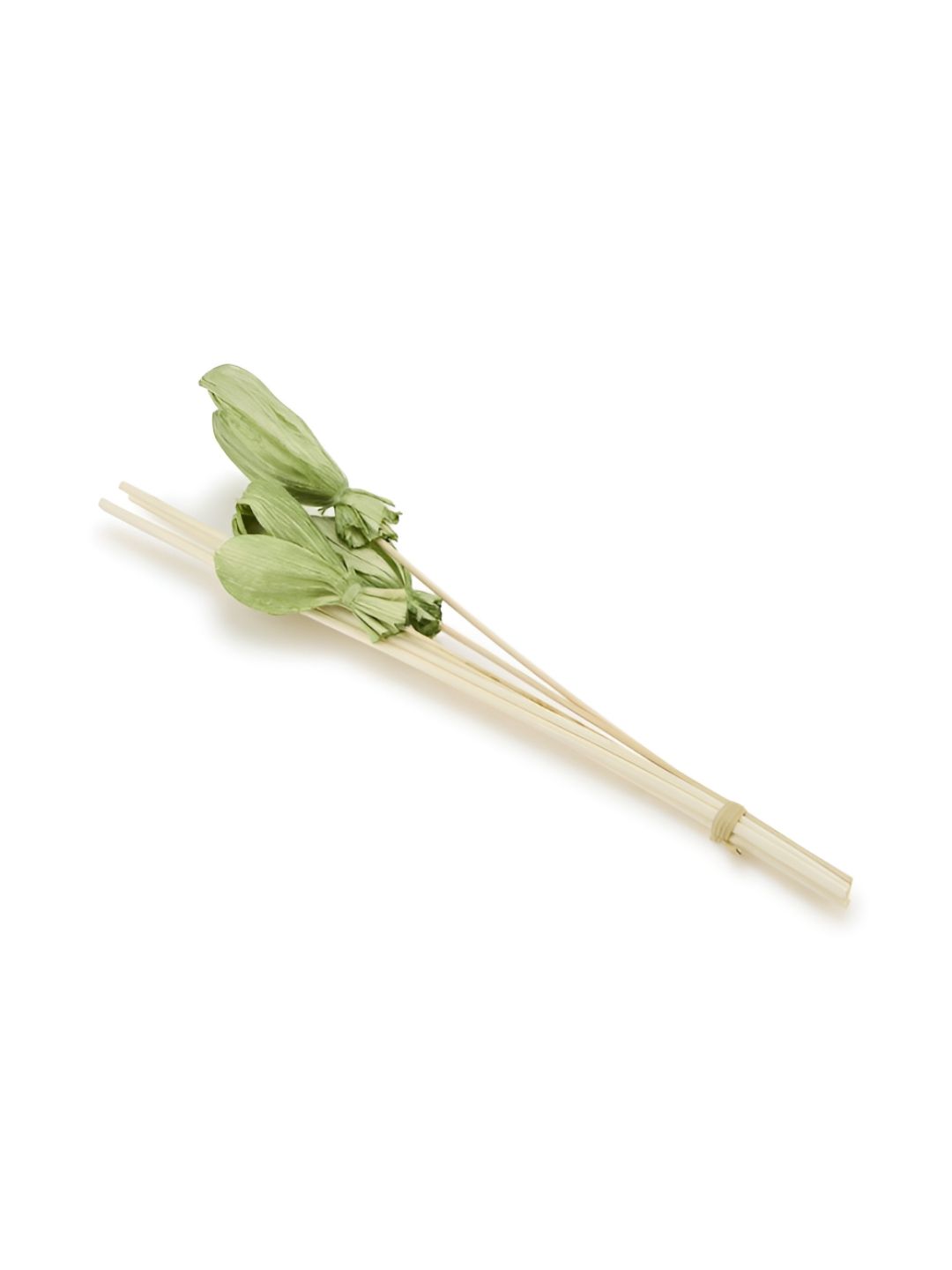 Fabindia Beige & Green Lemongrass Aroma Oil Reed Diffusers-image-38