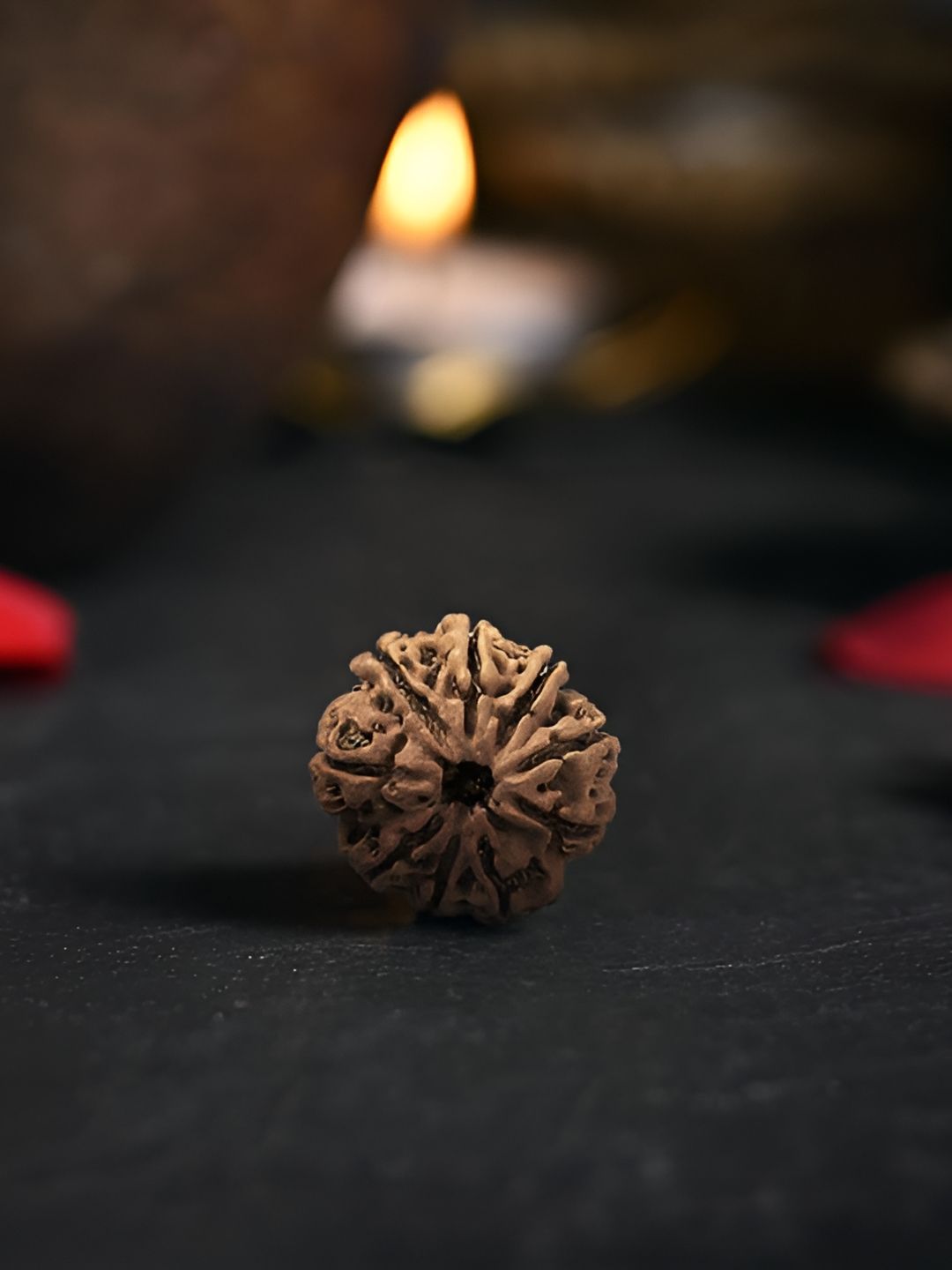 Gemsmantra Brown Wooden 9 Mukhi Rudraksha Nepali Without Pendant-picture-20