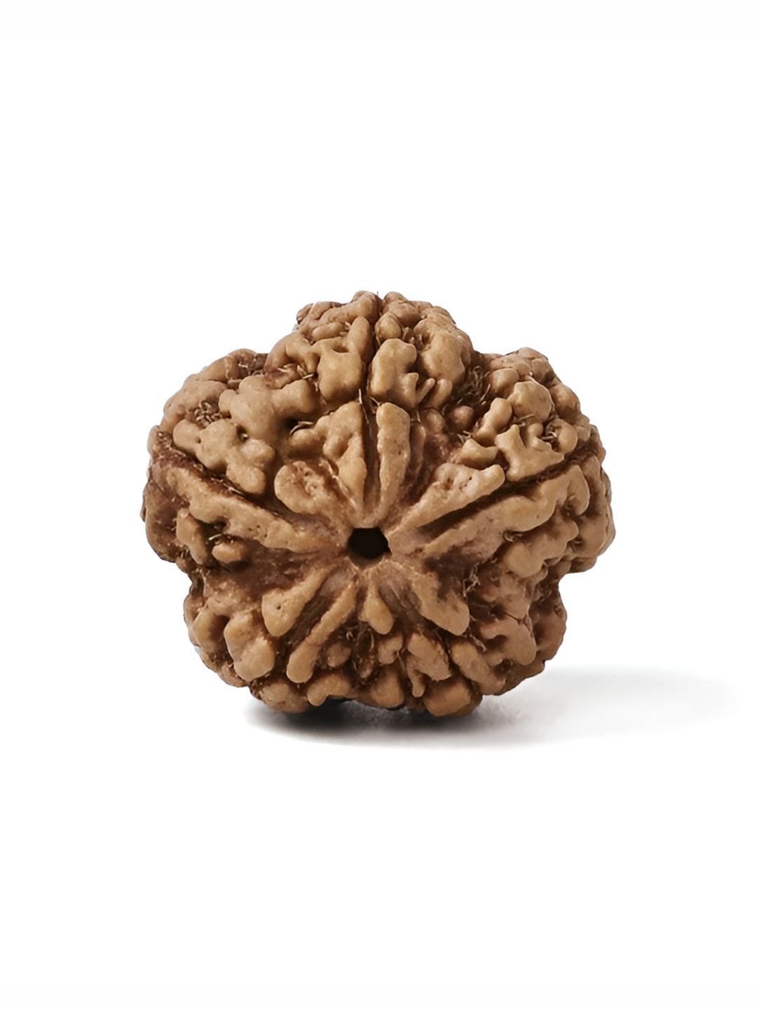Gemsmantra Brown Wooden 5 Mukhi Rudraksha Nepali With Pendant-picture-40