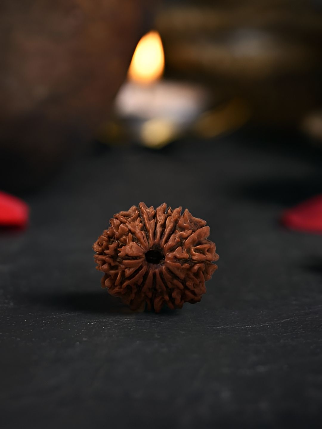 Gemsmantra Brown Wooden 13 Mukhi Nepali Rudraksha Without Pendant-picture-26