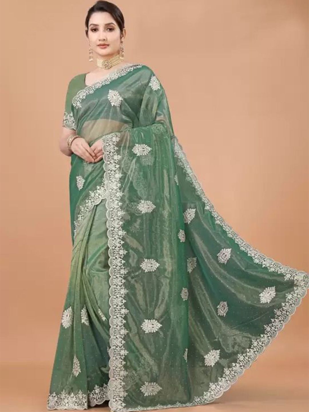 Moda Rapido Embroidered Embellished Organza Saree-picture-10