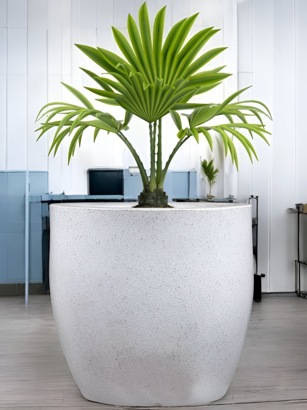 Go Hooked Pluto White & Green Durable Planter