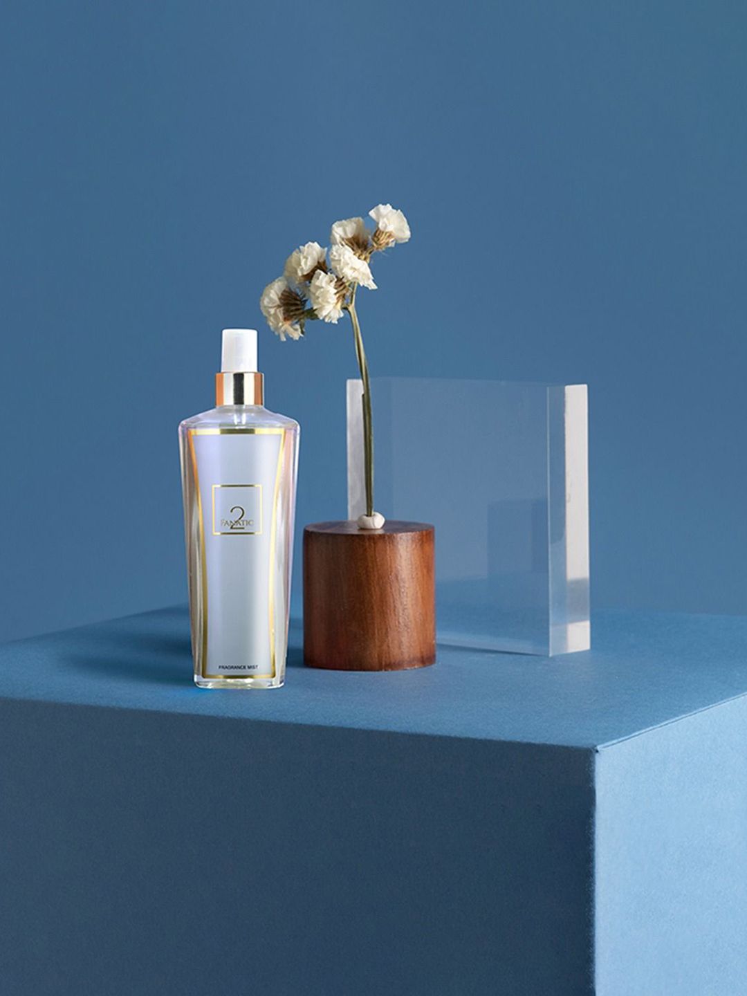 FANATIC 2 Intense Long Lasting Fragrance Body Mist - 250 ml