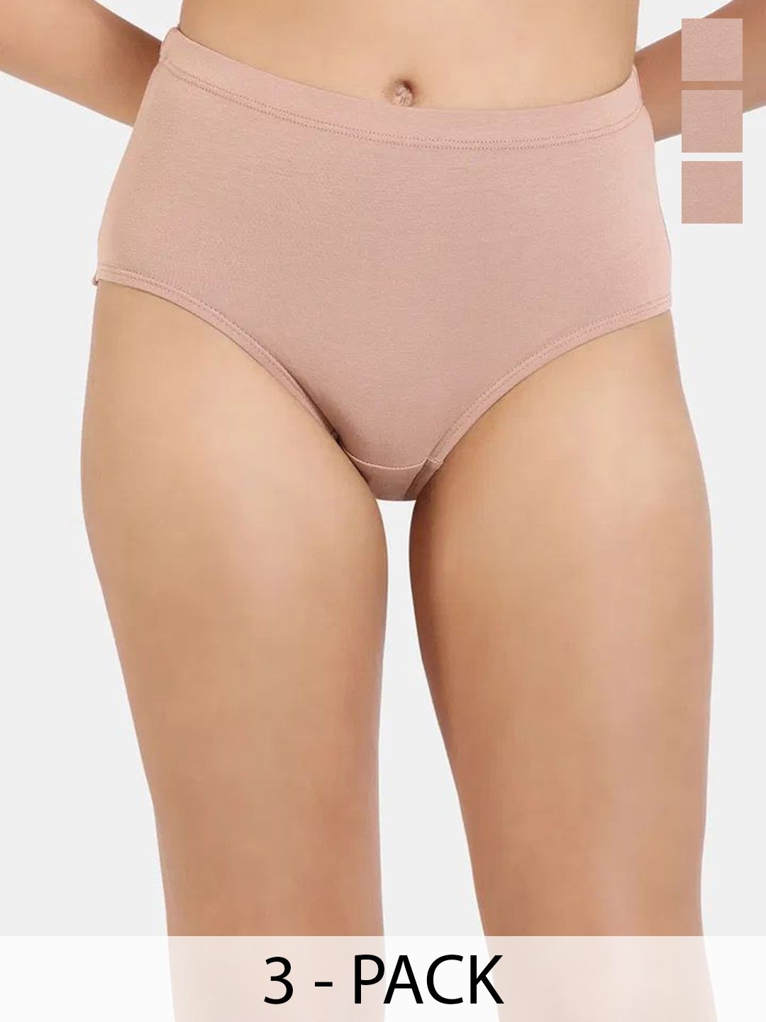 Zivame Pack Of 3 Hipster Briefs ZI28BE-Roebuck Roebuck Roebuck