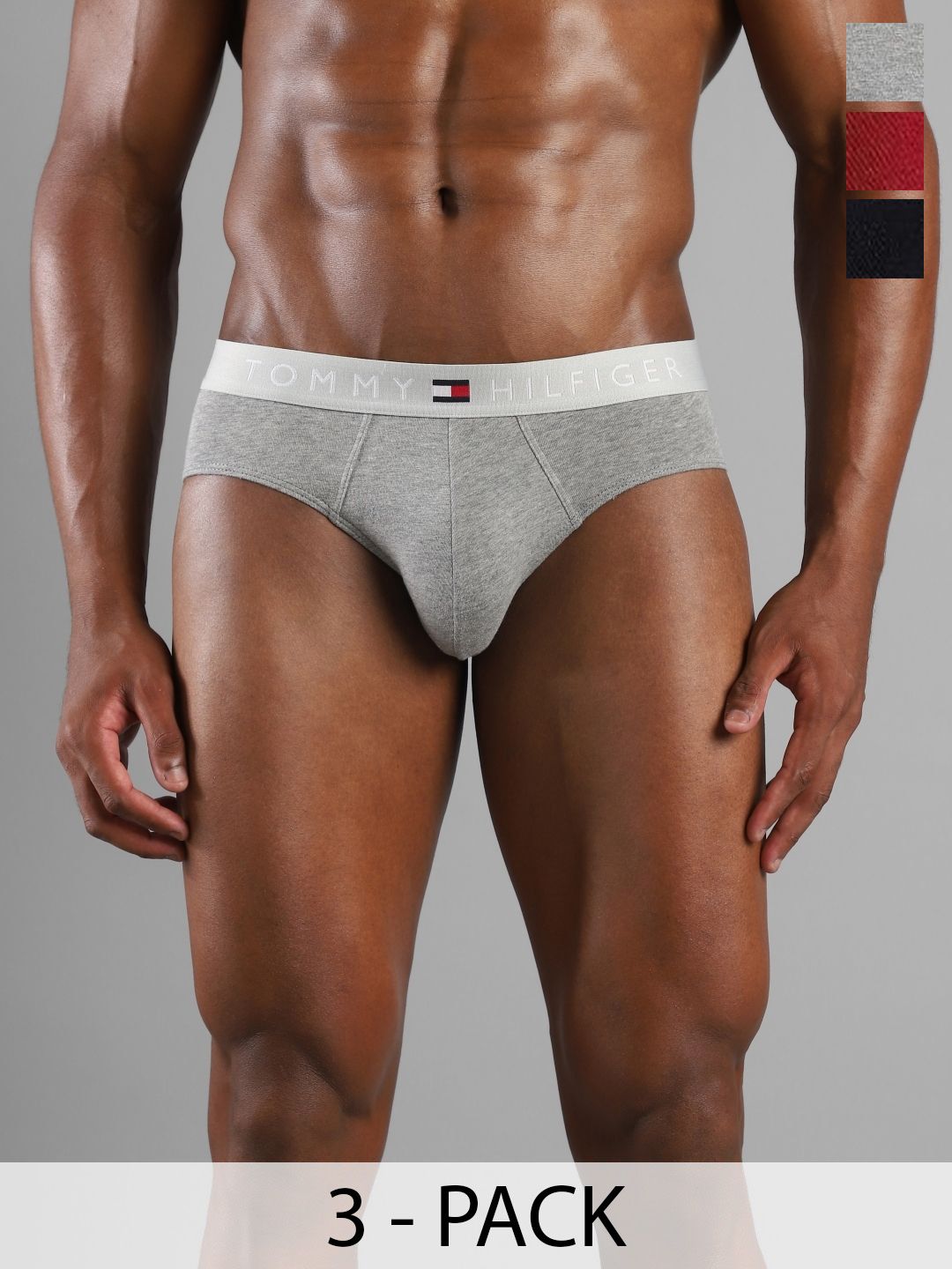 Tommy Hilfiger Pack Of 3 Basic Briefs S25HMUW076-image-28