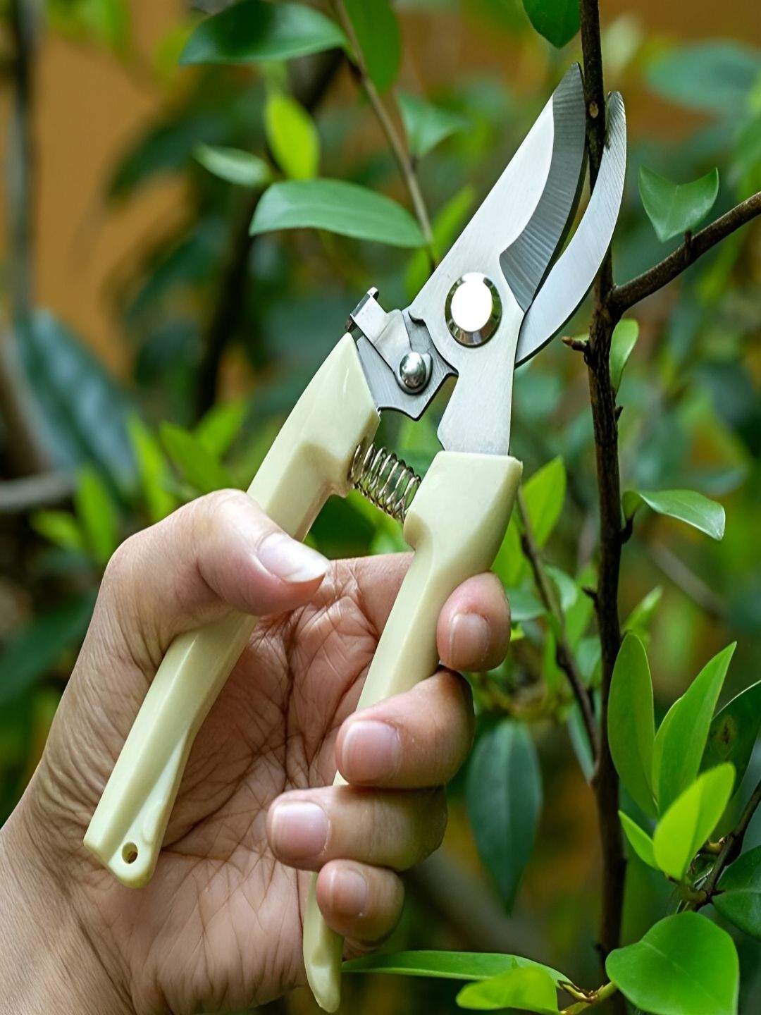 DeoDap Cream-Coloured Plant Cutter-picture-37