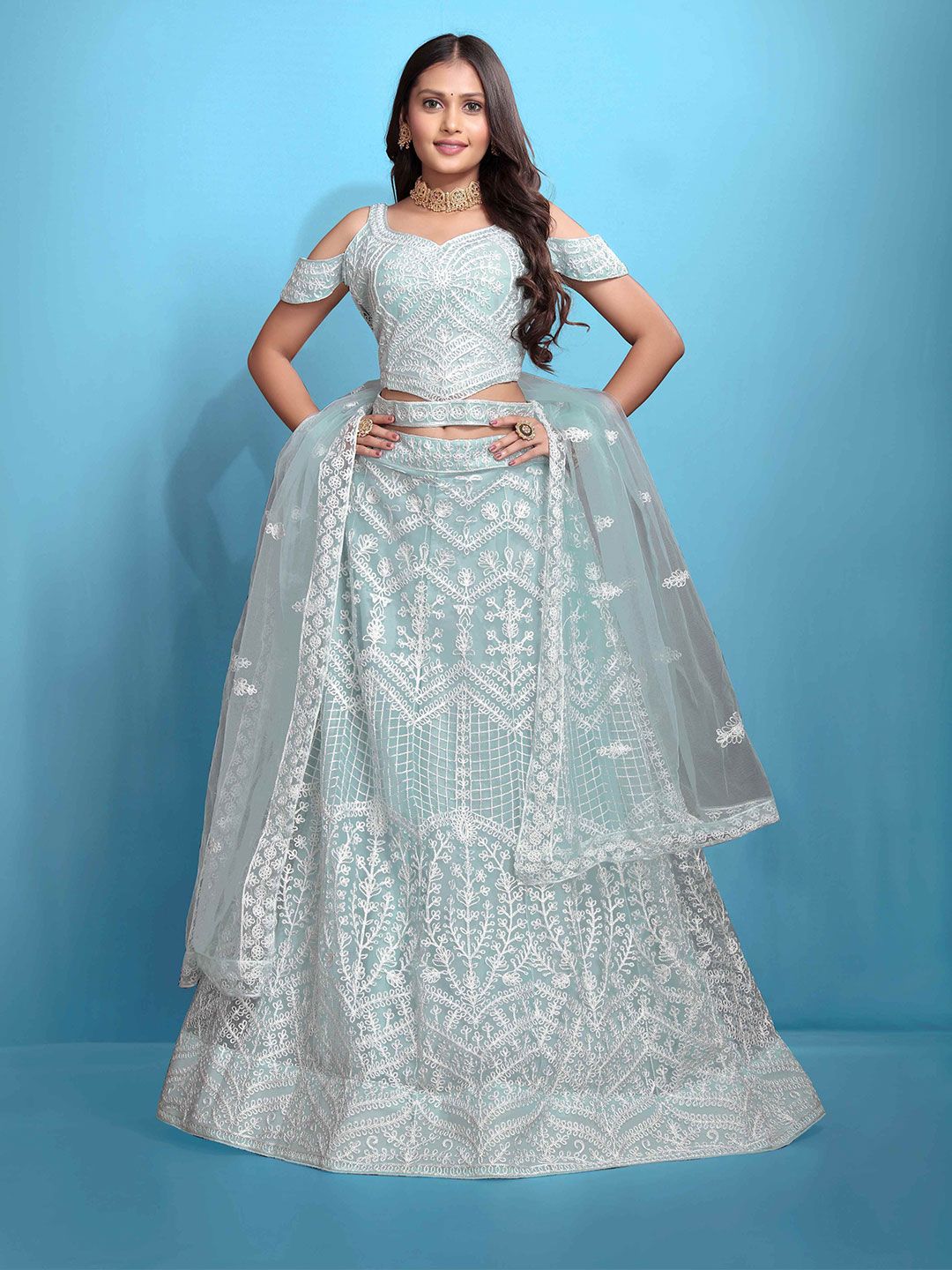 VARNI FABRICS Embroidered Semi-Stitched Lehenga & Unstitched Blouse With Dupatta-image-28